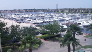 A View from Our Offices