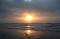 Galveston Beaches