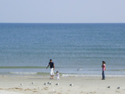 Galveston Beaches