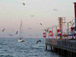 Galveston Bay at Kemah